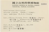 登錄號:B00010016藏品圖，第2張