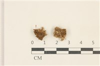 登錄號:B00010016藏品圖，第1張