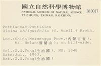 斜葉蘆薈蘚藏品圖，第2張