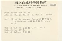 斜葉蘆薈蘚藏品圖，第2張