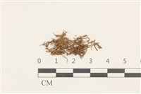 登錄號:B00010019藏品圖，第1張