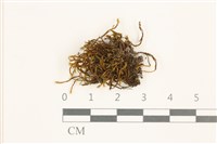 登錄號:B00010087藏品圖，第1張