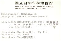 擬尖葉泥炭蘚藏品圖，第2張