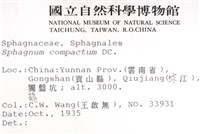 登錄號:B00010101藏品圖，第2張