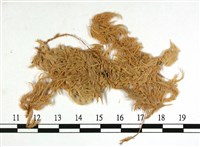 登錄號:B00010101藏品圖，第3張