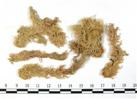 登錄號:B00010102藏品圖，第3張