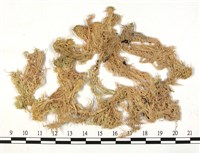 登錄號:B00010106藏品圖，第3張