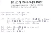 細葉泥炭蘚藏品圖，第2張