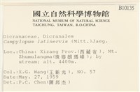 登錄號:B00010135藏品圖，第2張