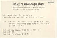 登錄號:B00010139藏品圖，第2張