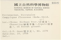 曲柄蘚藏品圖，第2張