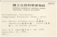 曲柄蘚藏品圖，第2張