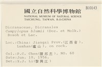 登錄號:B00010143藏品圖，第2張