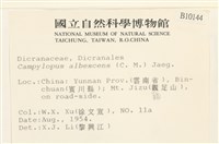 登錄號:B00010144藏品圖，第2張