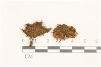 登錄號:B00010144藏品圖，第1張