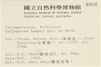 登錄號:B00010145藏品圖，第2張