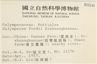 登錄號:B00010146藏品圖，第2張