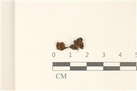 登錄號:B00010146藏品圖，第1張