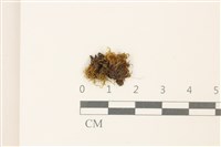 登錄號:B00010149藏品圖，第1張