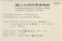 登錄號:B00010150藏品圖，第2張