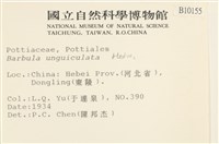 扭口蘚藏品圖，第2張