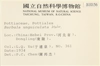 扭口蘚藏品圖，第2張