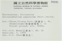粗毛青毛蘚藏品圖，第2張