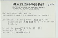 粗毛青毛蘚藏品圖，第2張