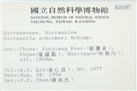 登錄號:B00010187藏品圖，第2張