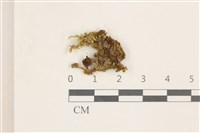 登錄號:B00010439藏品圖，第1張