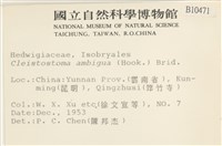 蔓枝蘚藏品圖，第2張