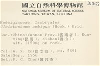 蔓枝蘚藏品圖，第2張