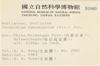 登錄號:B00010480藏品圖，第2張