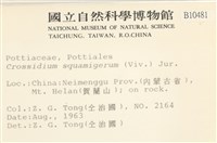 登錄號:B00010481藏品圖，第2張