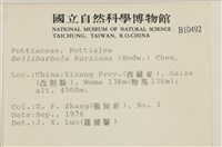 登錄號:B00010492藏品圖，第2張