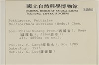 登錄號:B00010501藏品圖，第2張