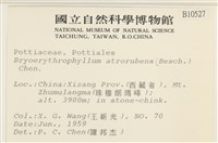 登錄號:B00010527藏品圖，第2張