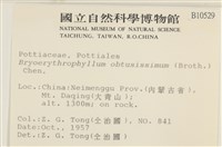 鈍頭紅葉蘚藏品圖，第2張