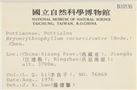 登錄號:B00010530藏品圖，第2張