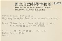 登錄號:B00010531藏品圖，第2張