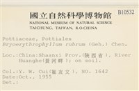 登錄號:B00010532藏品圖，第2張