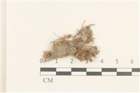 登錄號:B00010532藏品圖，第1張