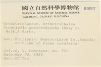 登錄號:B00010537藏品圖，第2張