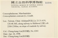 蛇苔藏品圖，第2張