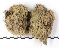 登錄號:B00010548藏品圖，第3張