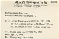 大熱澤蘚藏品圖，第2張