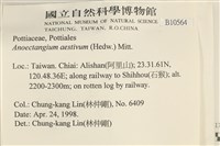 登錄號:B00010564藏品圖，第2張