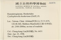 登錄號:B00010578藏品圖，第2張