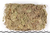 登錄號:B00010592藏品圖，第3張