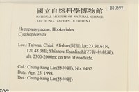 登錄號:B00010597藏品圖，第2張